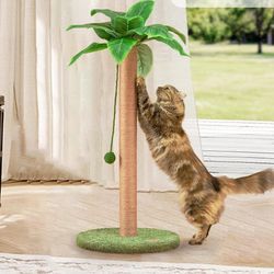 Tall Kitten Scratching Post Large Cute Cat Scratcher Indoor Cats