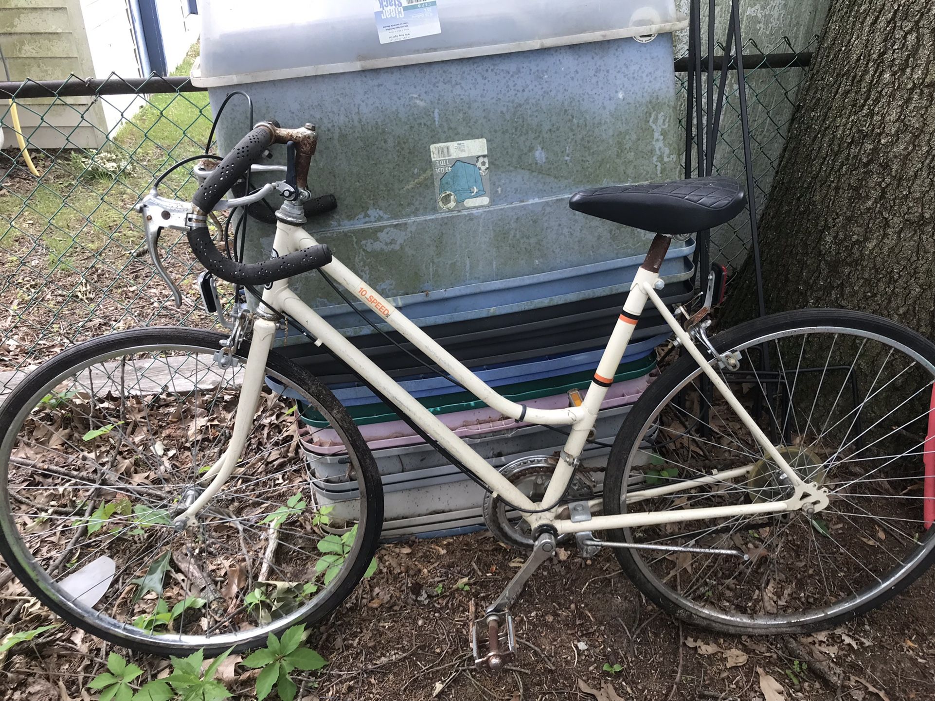 Ladies 24 Inch 10 Speed Bicycle Only $65 Firm