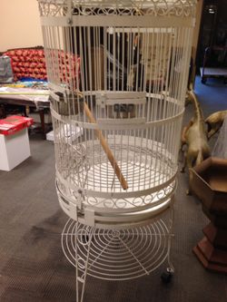 Metal Bird Cage
