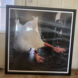 Large Duck Butt Photo