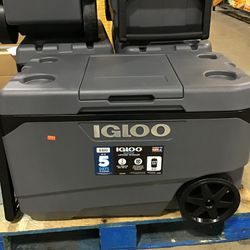 Igloo Cooler