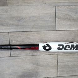 2 Softball Bat