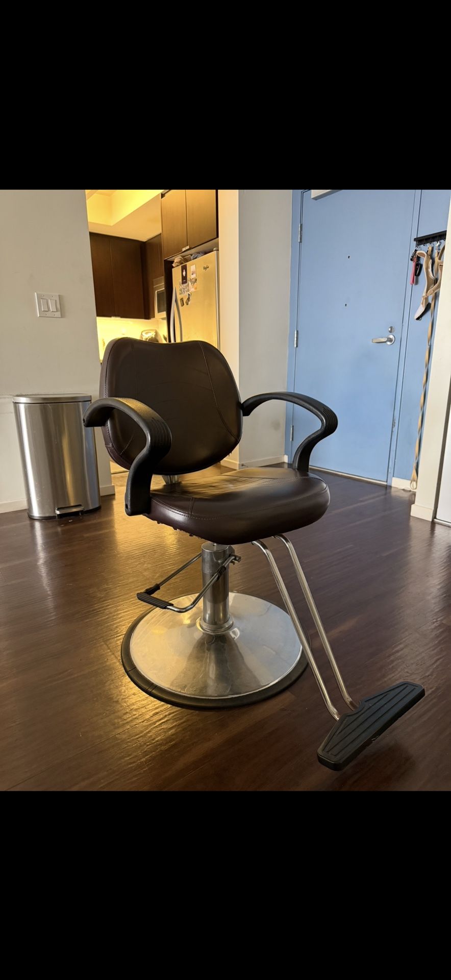 Salon/ Barber Chair