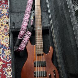 ESP LTD 5-String Bass