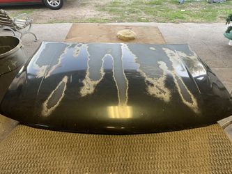 Hood for 1999-06 gmc sierra or gmc yukon