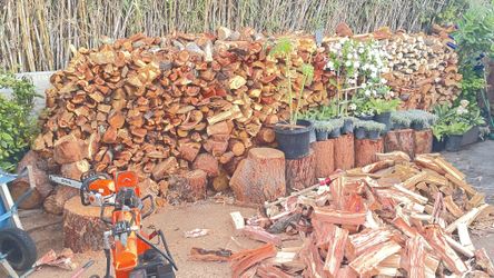 Firewood 🔥