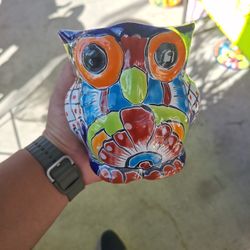 💥🦉 Mini Maceta Buo 🦉💥