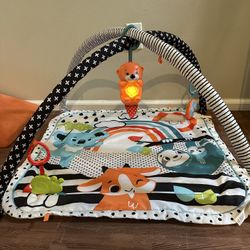 Baby Play Yard Activity Mat