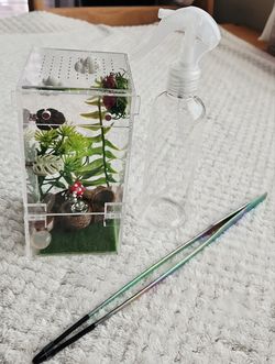 ✨️Brand new✨️ Small🕷 Jumping Spider Enclosure Home🏡 with Accessories🍄