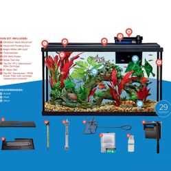 29 Gallón Fish Tank 
