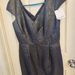 Zipper On Back Dress. Calvin Clein Size 12 . New Picl Up 