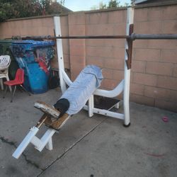 Bench Press 
