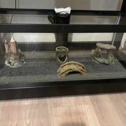 Fish Tank & Accessories 