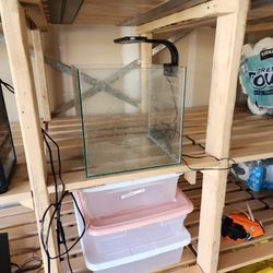 5 gallon fish tank