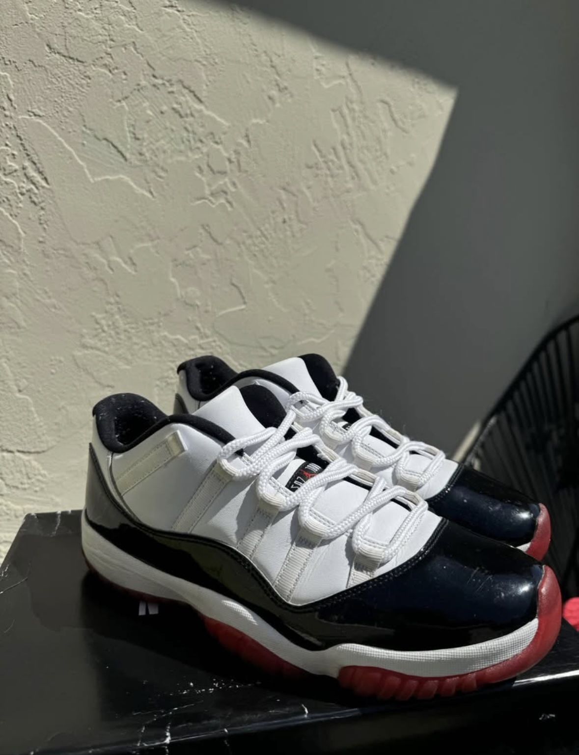jordan 11s concord bred lows SIZE 11.5