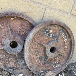 45 Plates Gym equipment 