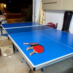 Ping Pong Table - Joola Indoor/Outdoor