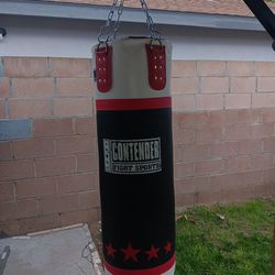 100 Lbs Punching Bag And Speed Bag 