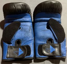 Century Boxing Gloves