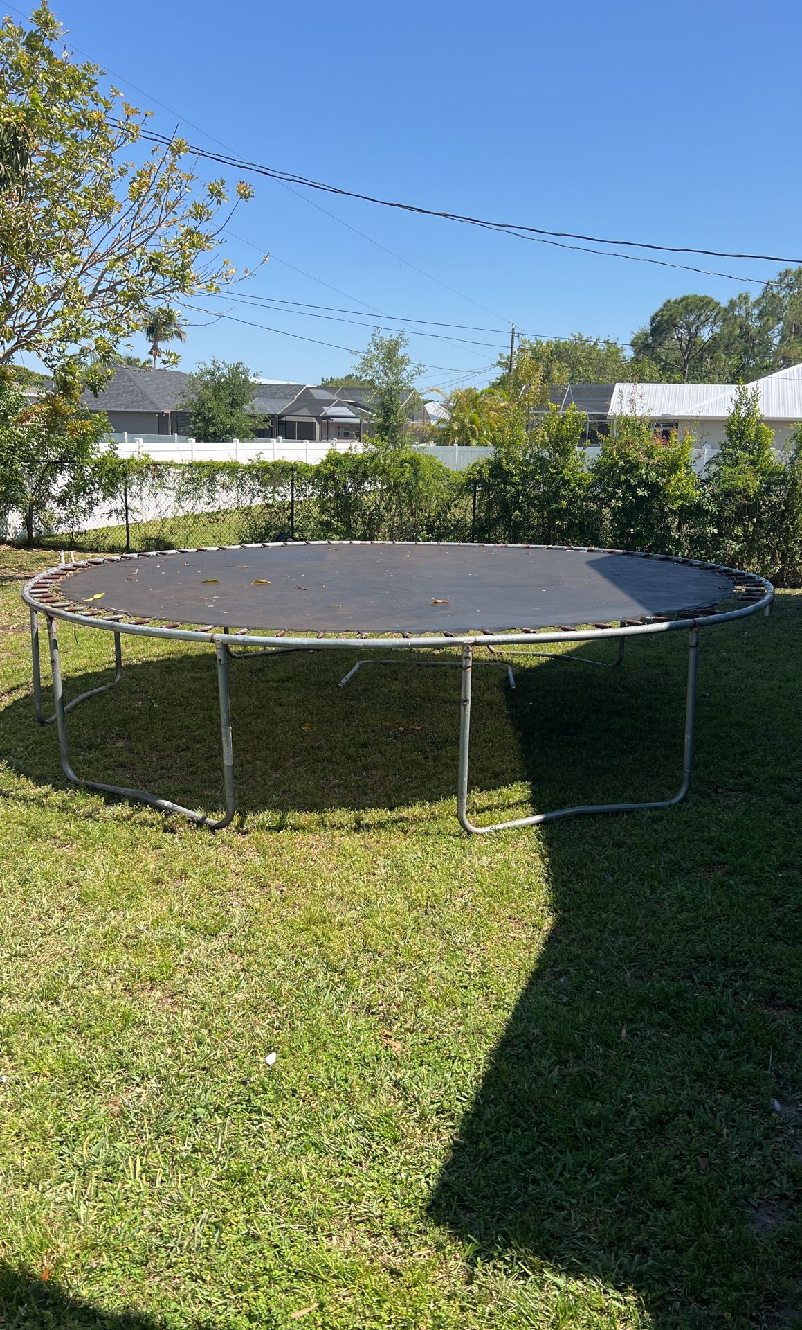 Trampoline