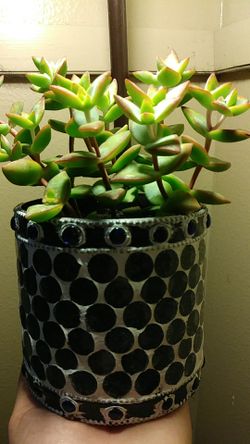 Mosaic glass pot w succi