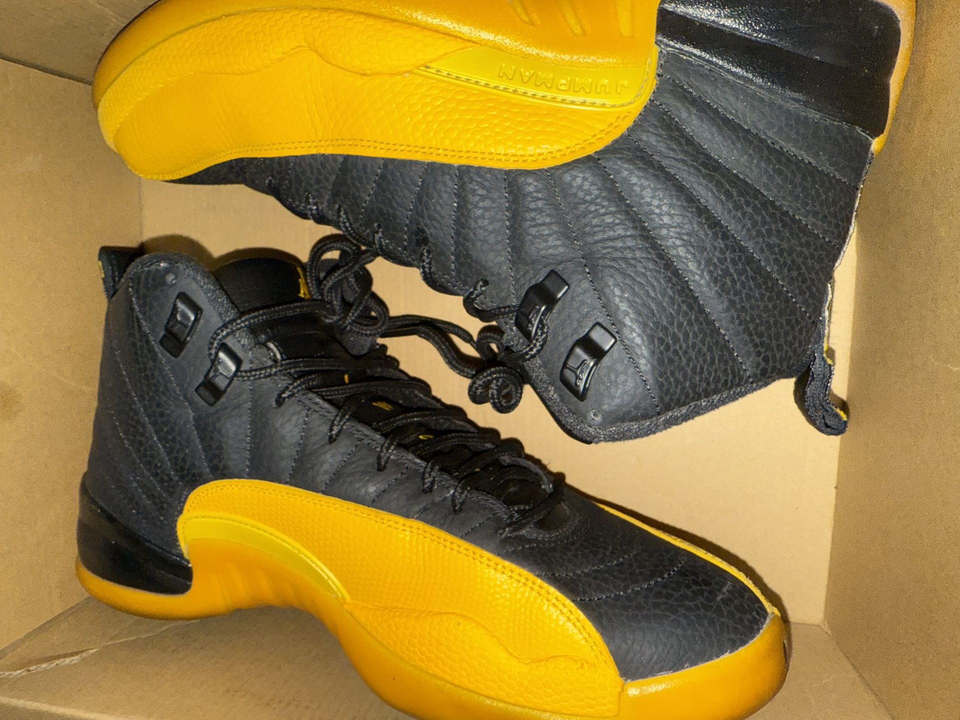 Jordan 12