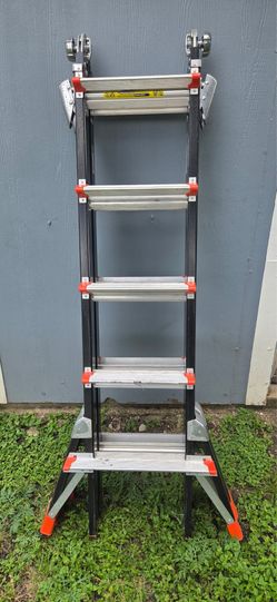 Little giant ladder