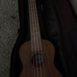 Amahi Mahogany, Arched Back, Travel Size – Thin Body Ukulele
