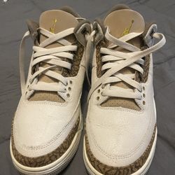 Jordan 3s  8.5