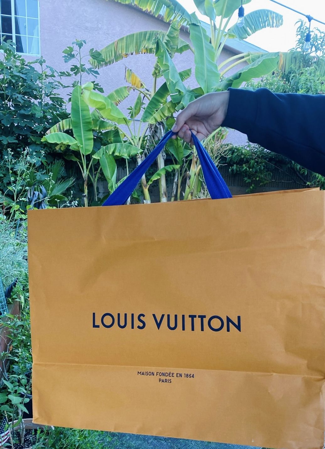 Louis Vuitton shopping Bag (large)