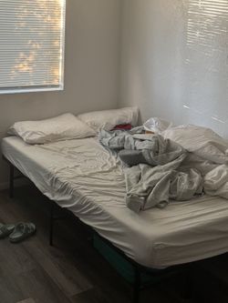Full Size Bed – Tuft & Needle Mattress + Amazon Basics Frame