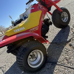 1985 Yamah Tri Zinger 60 3 Wheeler 
