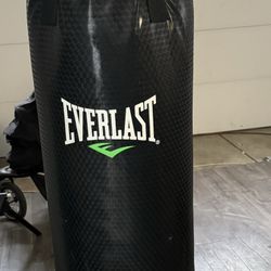 Brand New Punch Bag 