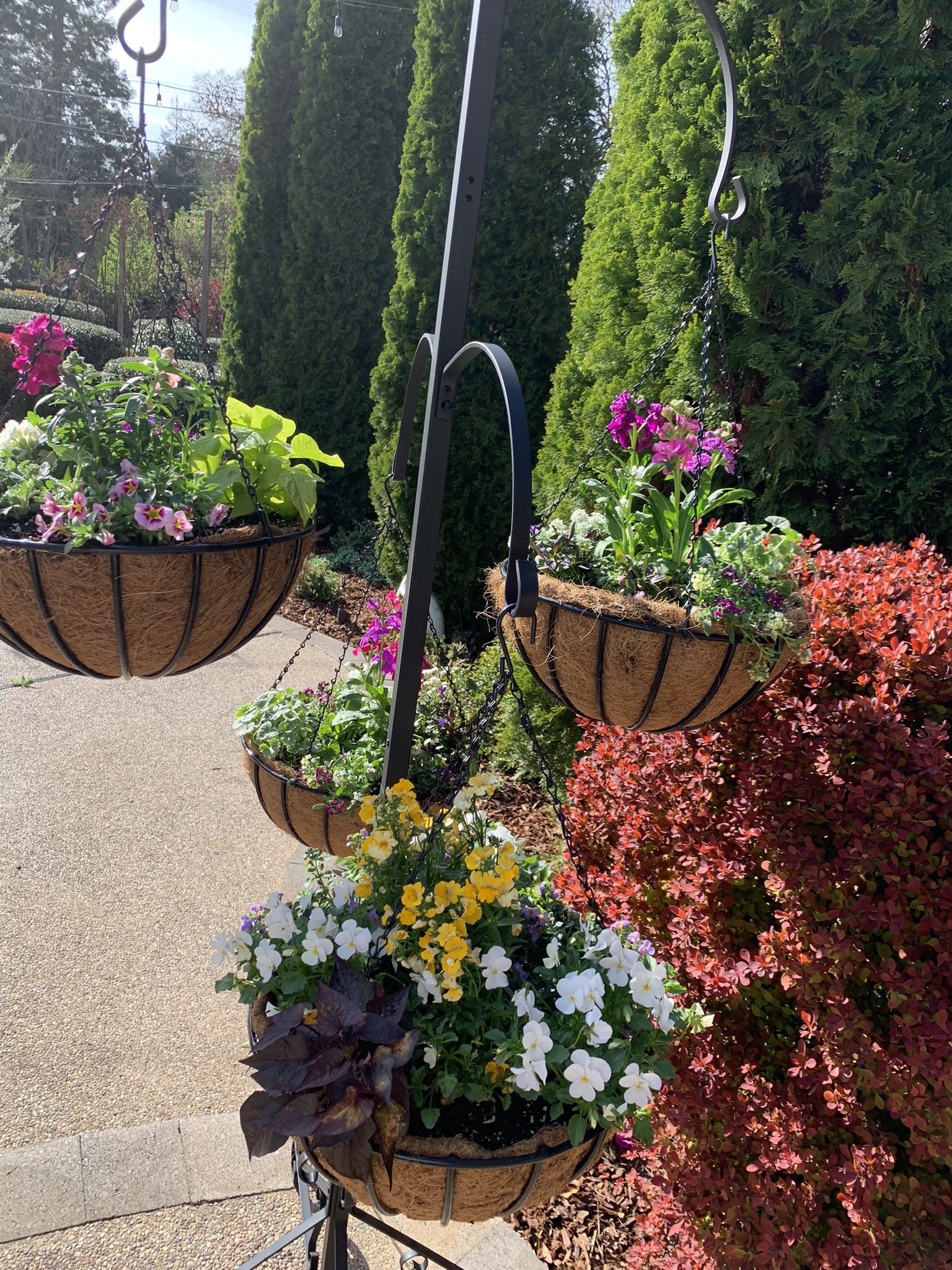 Custom Flowering Containers 