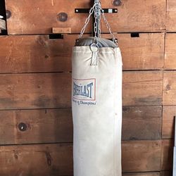 Everlast Punching bag
