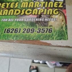 Maintenance And Yard Clean Up And Mantenimiento De Jardín 