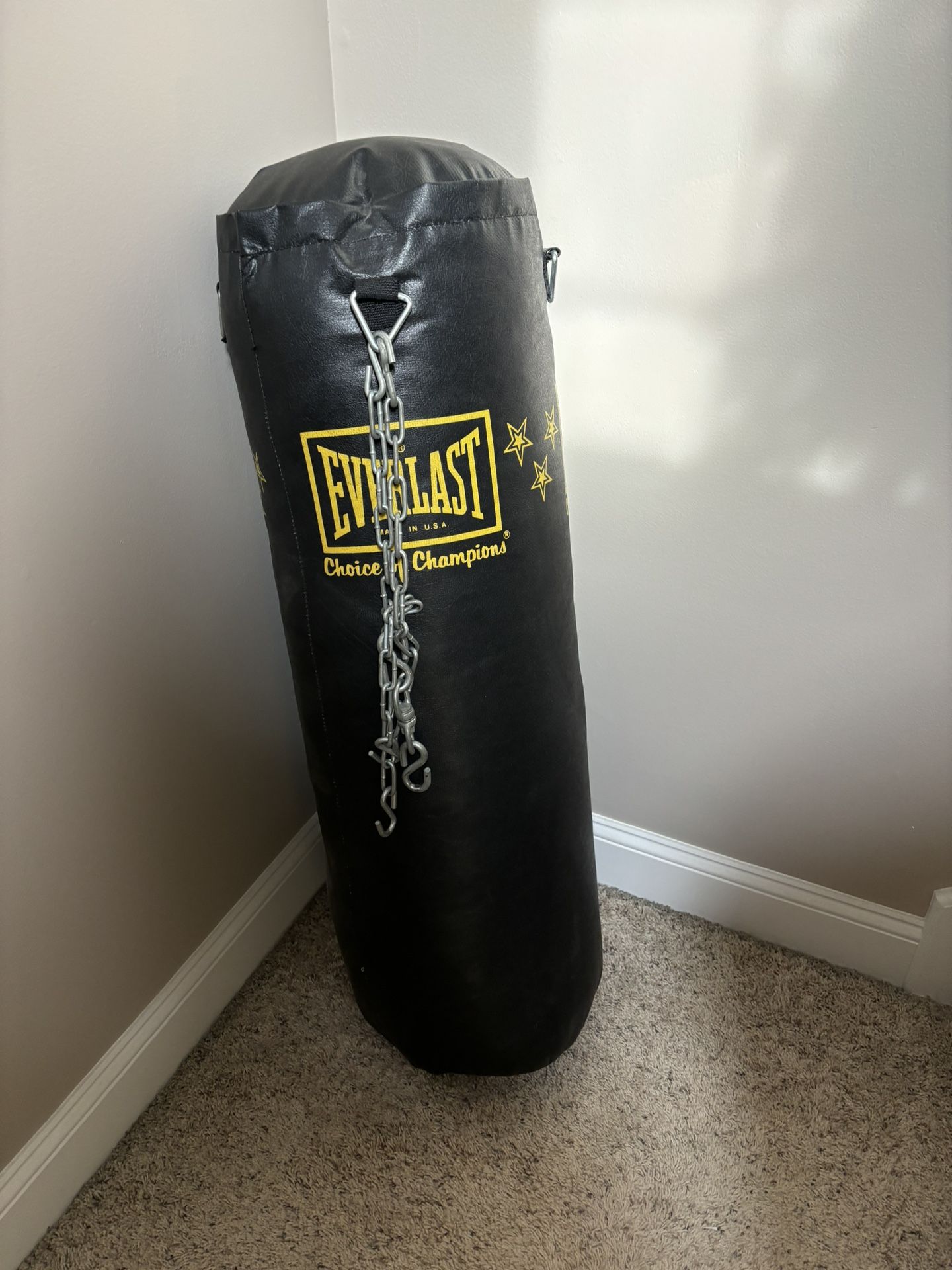 Everlast Heavy Punching Bag