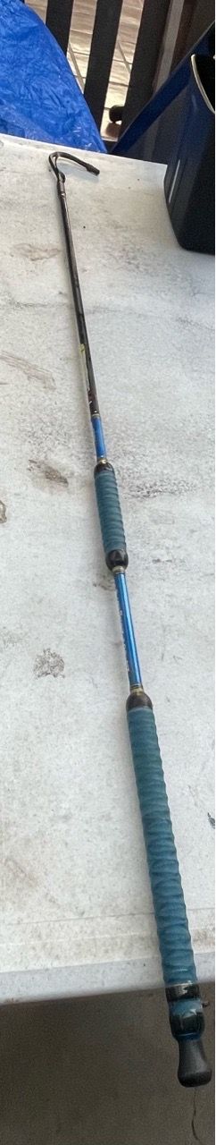 Fish Hook Spike