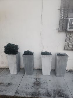 Planters