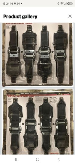 1000 lb. Capacity 1-1/2 in. x 10 ft. Ratcheting Tie Down Set of 4 Haul-Master
