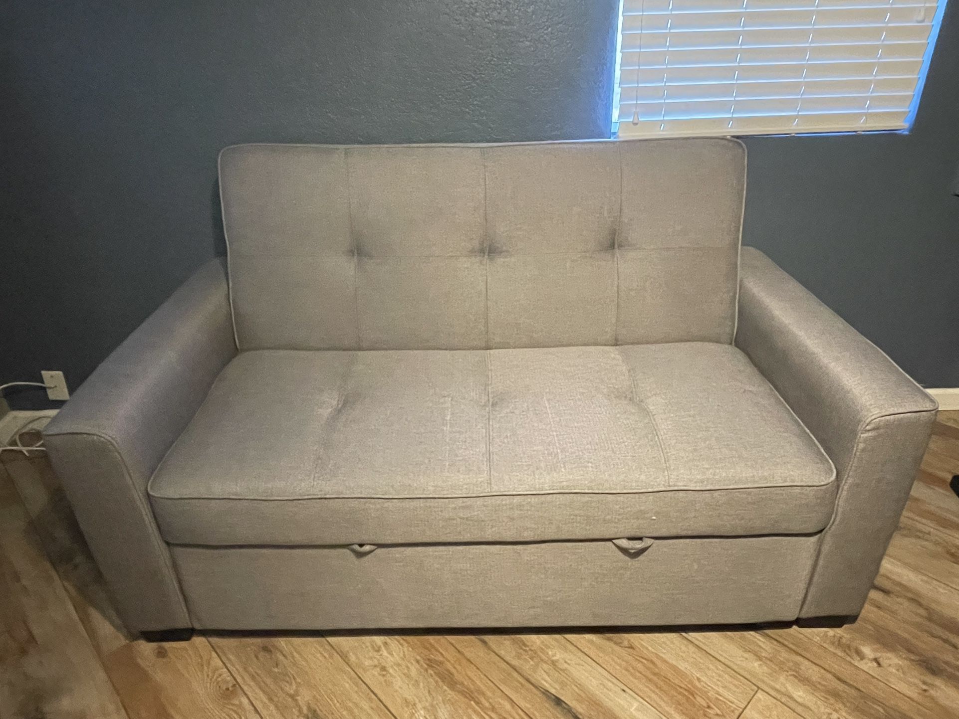 Gray Pullout Couch