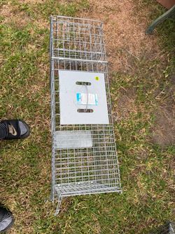 Humane Animal Trap