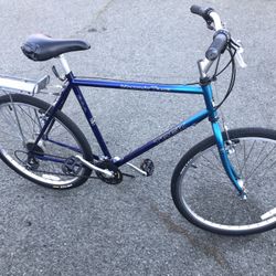 Trek Mountain Bike