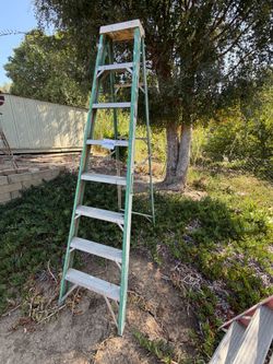 8 ft Ladder