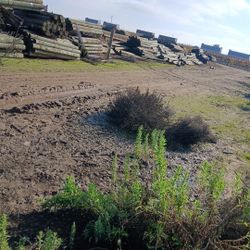 Wooden 10 Foot Posts Best Offer