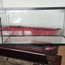 60-Gallon Glass Sump Fish Tank – $90