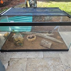 Terrarium - Reptile Enclosure Tank