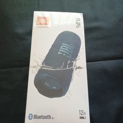 JBL Flip 6