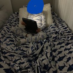 Twin Inflatable Bed With Auto Airpump