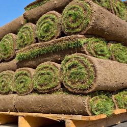 Fresh  Sod 